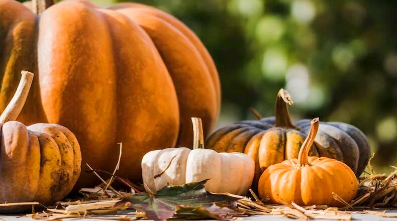 A Fall Festival of Fun and a Truck-A-Palooza will be hosted by Cobb County on Oct. 22. (Courtesy of Cobb County)