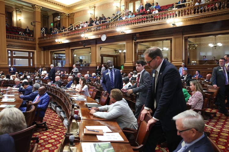 Members of the Georgia House of Representatives at the state Capitol in June. Democrats need to flip 10 seats in the midterms to win a majority for the first time in more than two decades. (Arvin Temkar/AJC)