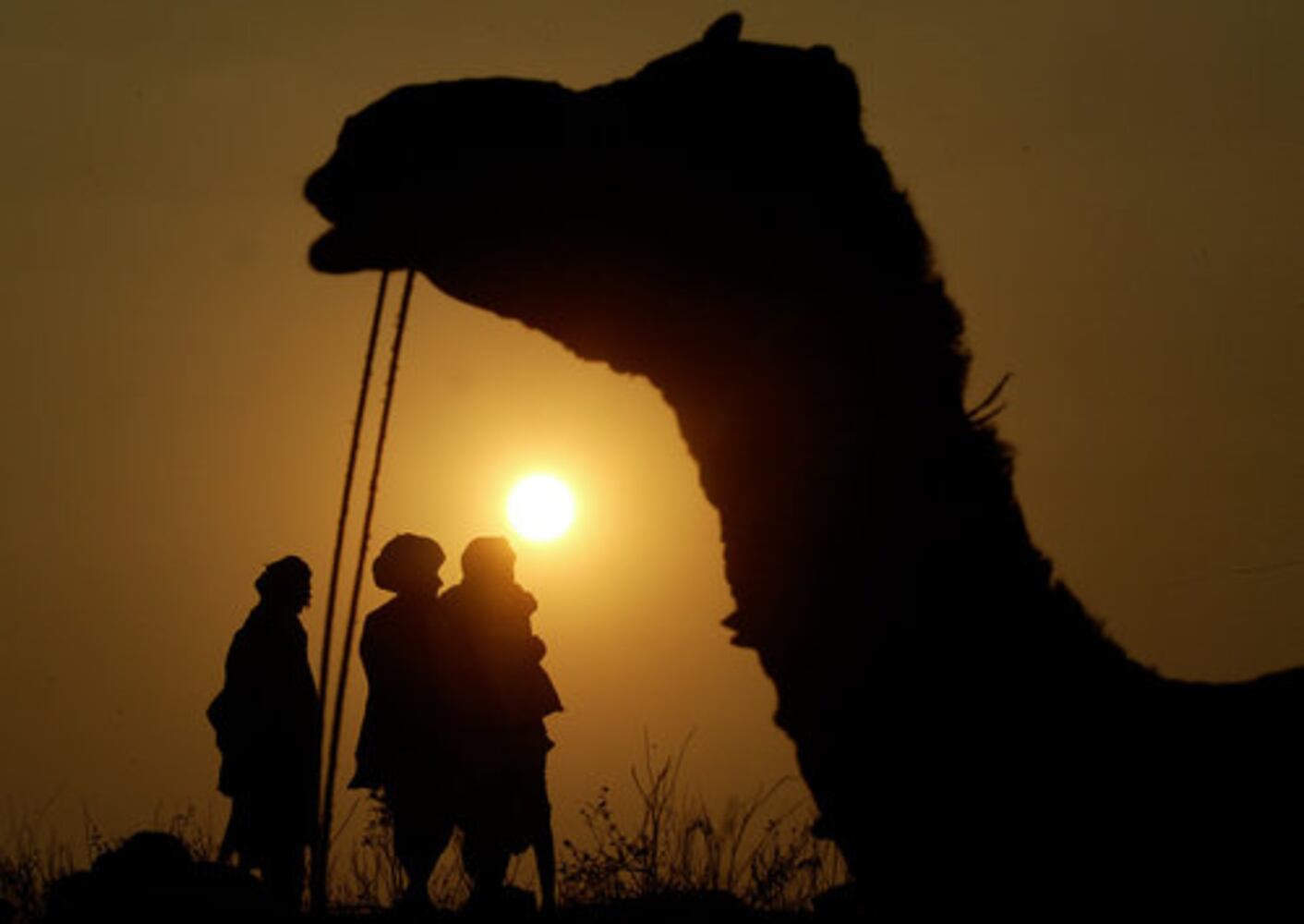 India is a bright, chaotic jewel