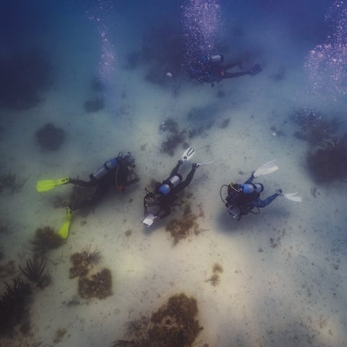 In this photo provided by Kory Lamberts, Black divers with the Underwater Adventure Seekers visit the wreck site of the Henrietta Marie, a British slave ship which sank in 1700 in the waters off the coast of Key West, Fla., Friday, May 8, 2026. (Kory Lamberts/Aquatic Futures Foundation via AP)
