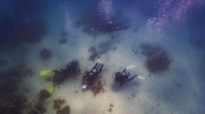 In this photo provided by Kory Lamberts, Black divers with the Underwater Adventure Seekers visit the wreck site of the Henrietta Marie, a British slave ship which sank in 1700 in the waters off the coast of Key West, Fla., Friday, May 8, 2026. (Kory Lamberts/Aquatic Futures Foundation via AP)