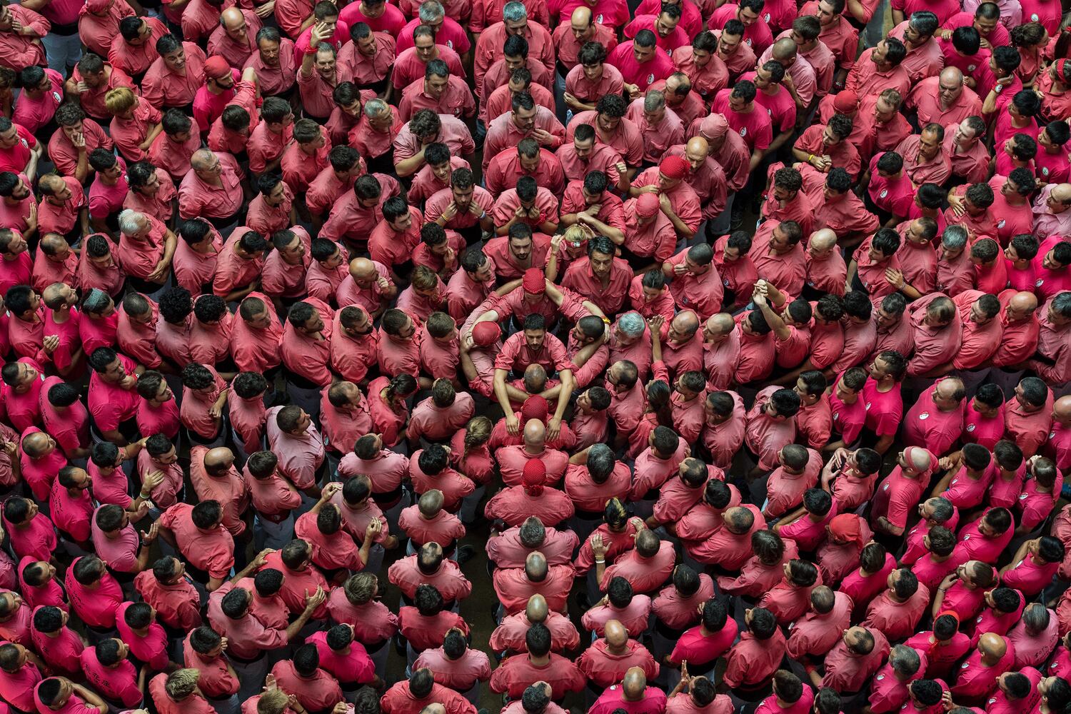 Photos of the Week, October 7, 2016