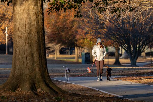 A woman braves Monday's freezing temperatures as she walks two dogs through Piedmont Park. (Ben Hendren for the AJC)