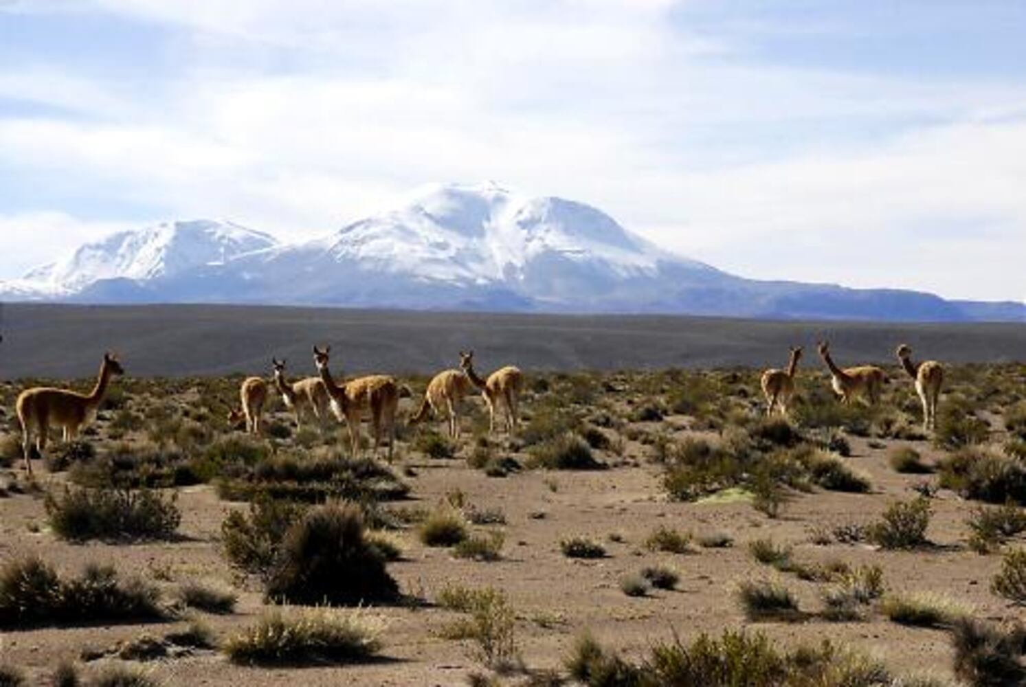 Touring Chile: An ancient land rich in culture and mystique