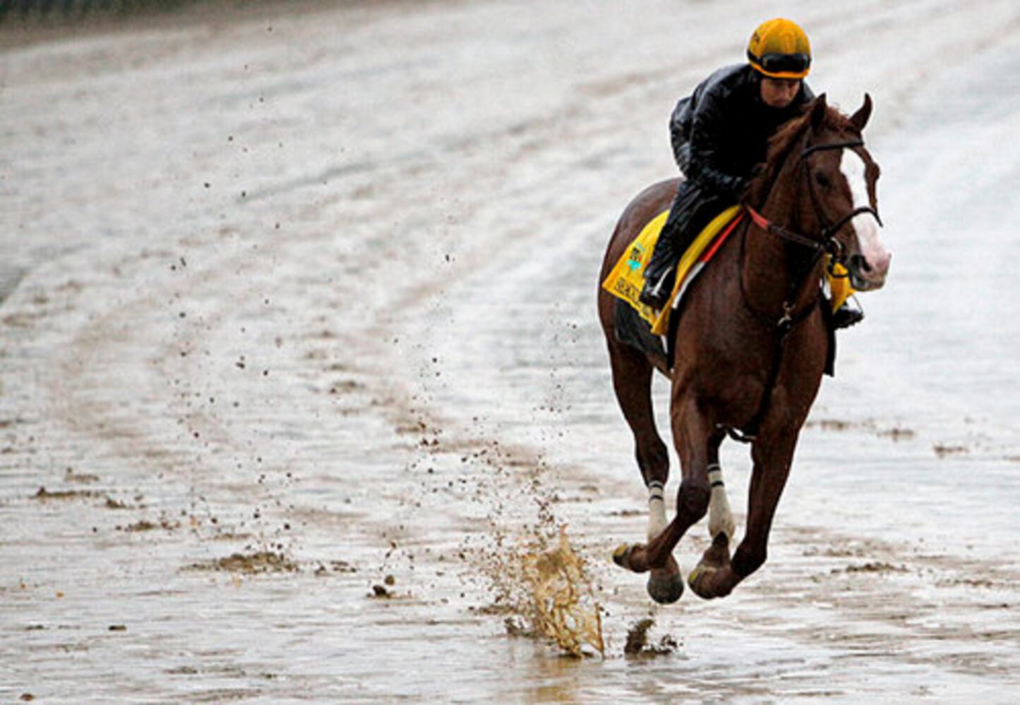 Kentucky Derby field 2011