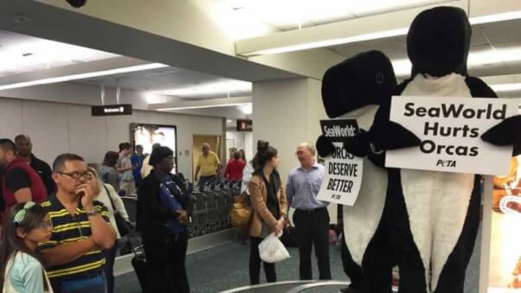 Protesters dressed as orcas OIA