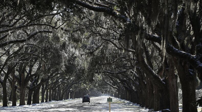 SAVANNAH, GA - JANUARY 04: Snow blankets the driveway to Wormsloe Historic Site after yesterday’s snow storm on January 4, 2018 in Savannah, Georgia. From Maine to Florida every state along the east coast is expected to have to deal with winter weather. (Photo by Joe Raedle/Getty Images)