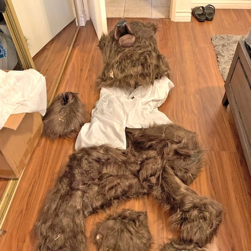 FILE - This photo provided by the California Department of Insurance shows a bear costume allegedly worn by suspects with the aim to commit insurance fraud. (California Department of Insurance via AP, File)