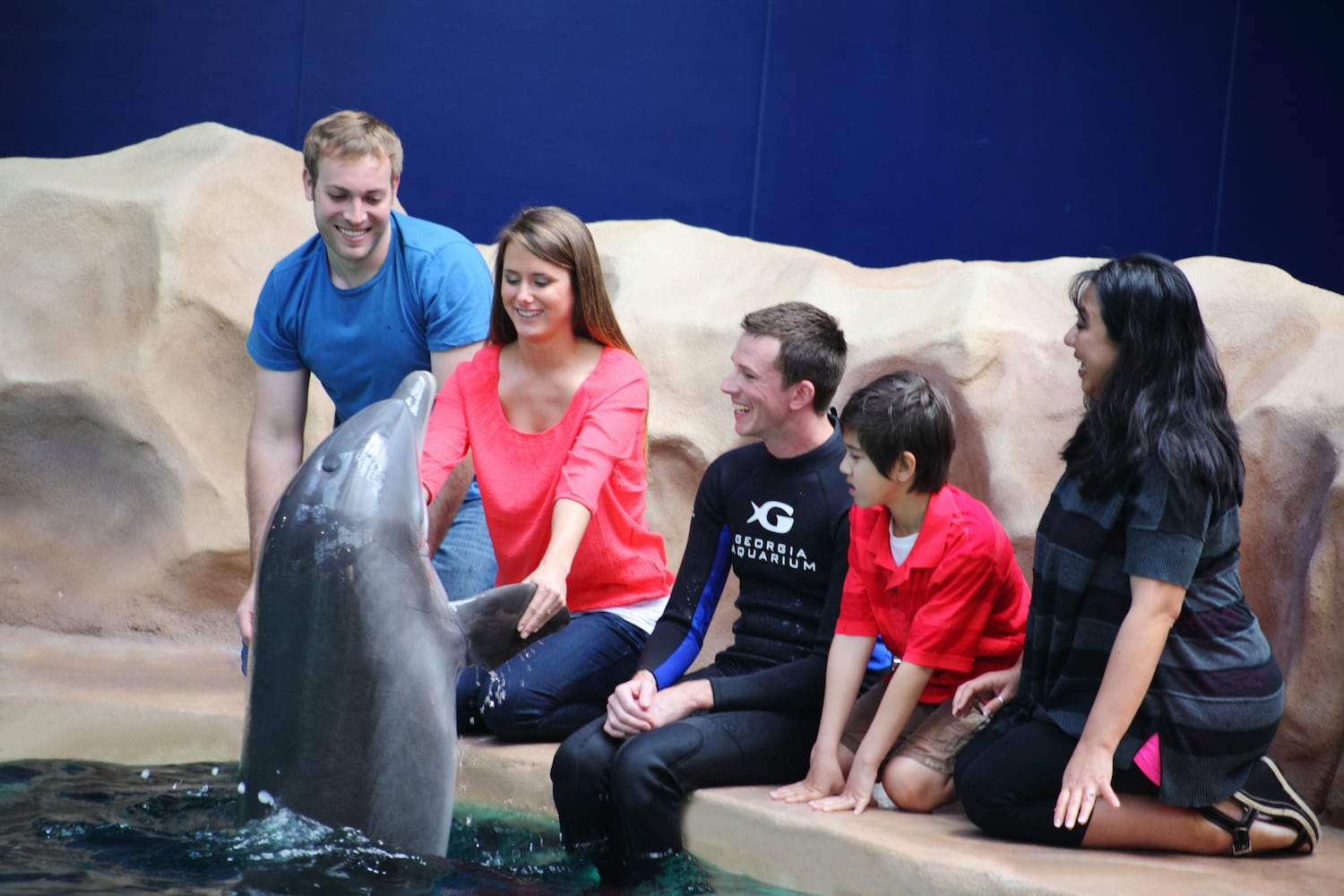 Dolphin Experience at the Georgia Aquarium