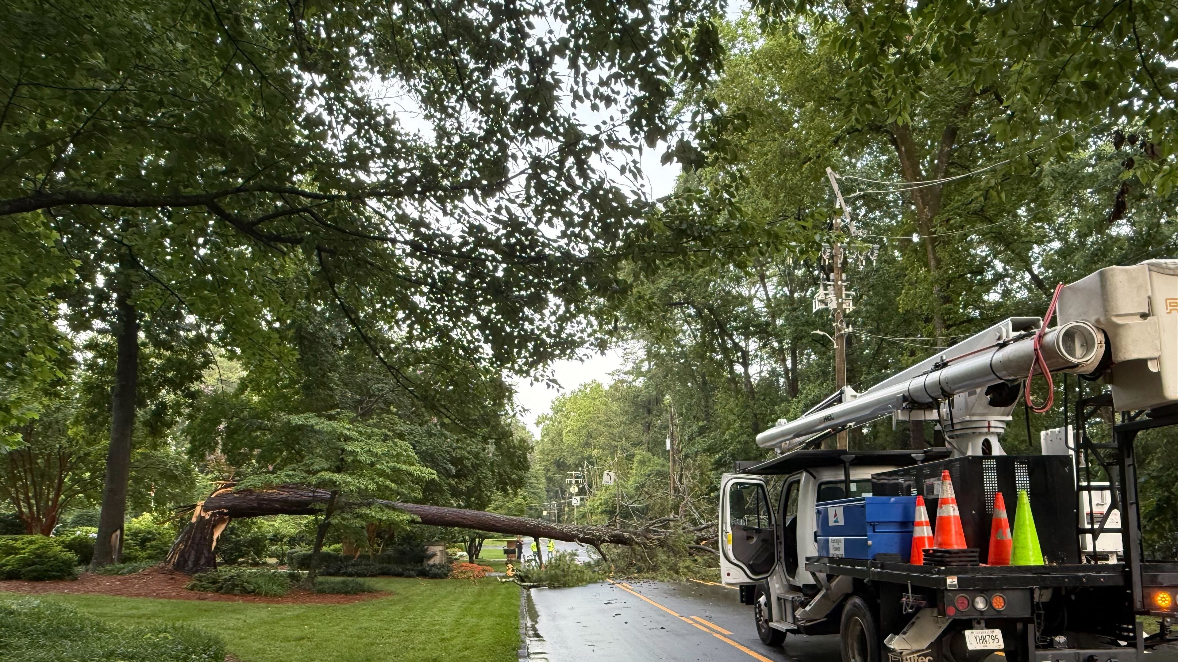 A massive tree fell and took down powerlines on West Paces Ferry Road in Buckhead during strong storms Saturday evening.