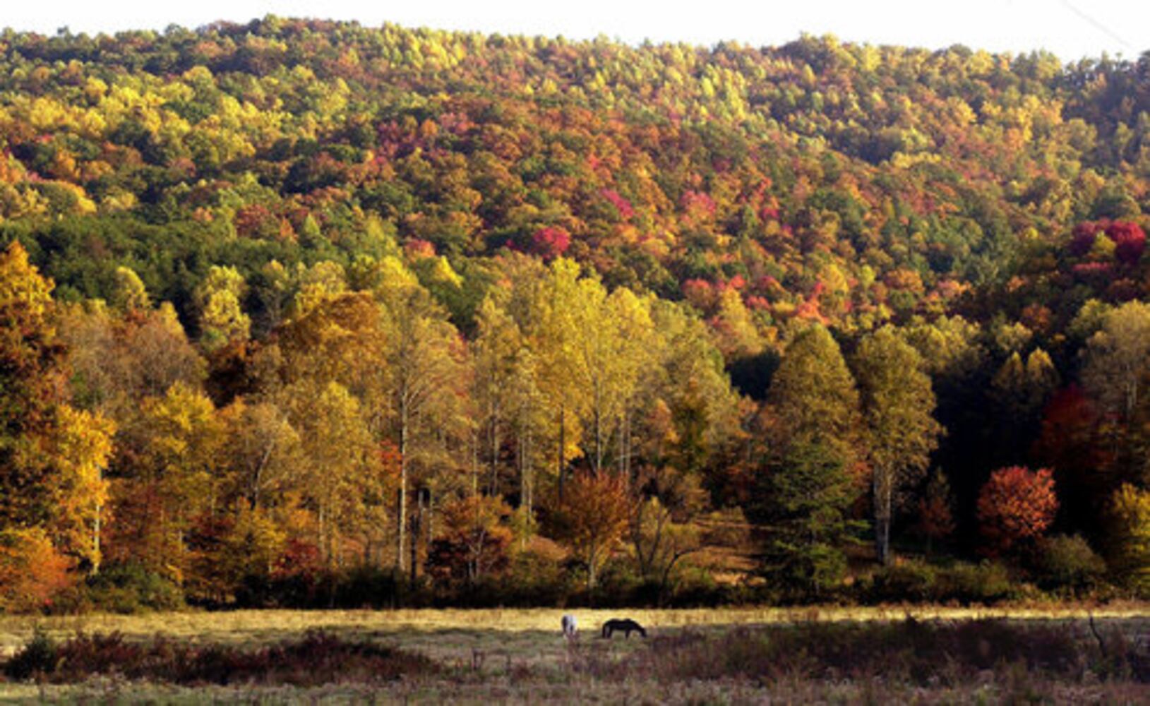 Blue Ridge: Enjoy the serenity of nature