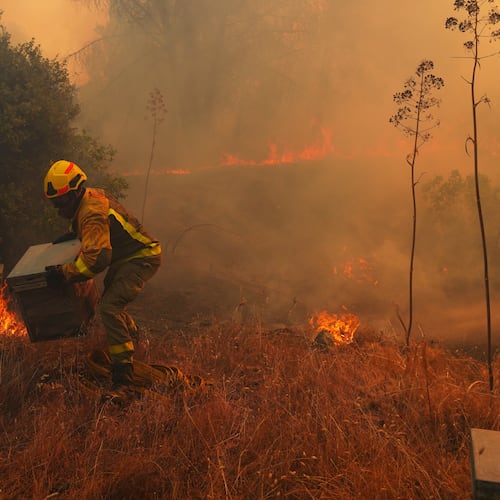 FILE - A firefighter moves beehives away from flames while battling a wildfire in San Martin de Valdeiglesias, west of Madrid, Spain, July 26, 2026. (AP Photo/Manu Fernandez, File)