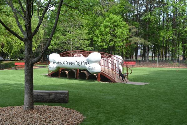 Pups are living the good life at Newtown Dream Dog Park. 
(Courtesy of Johns Creek Park and Recreation Department)