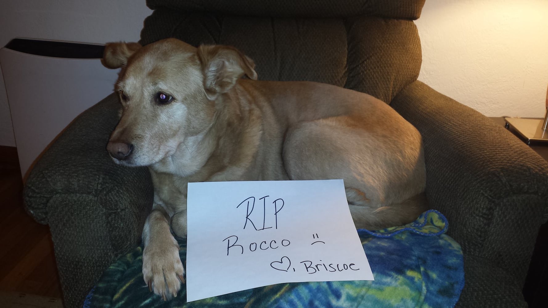 RIP Rocco