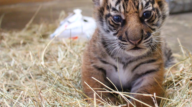 (Photo Credit: Janel Jankowski)