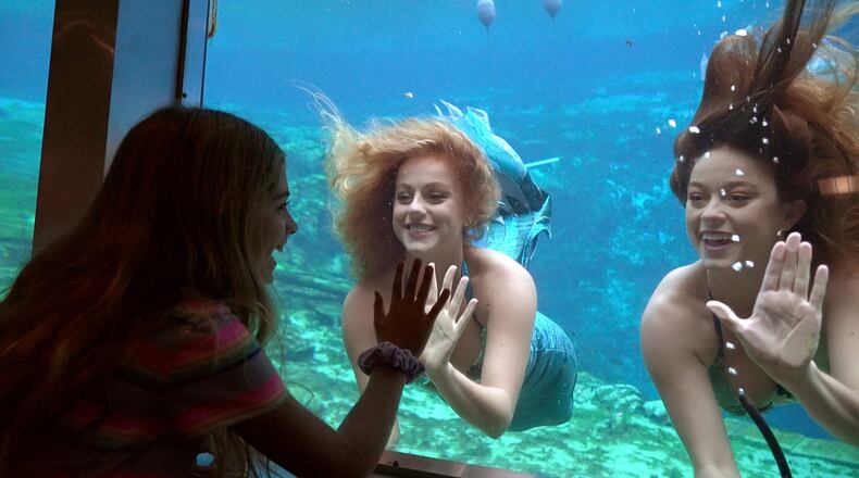 Weeki Wachee Springs, the classic yesteryear roadside attraction, became a Florida state park in 2008 and still offers mermaid shows daily in its submerged 400-seat amphitheater.
Courtesy of Maurice Rivenbark/Visit Florida