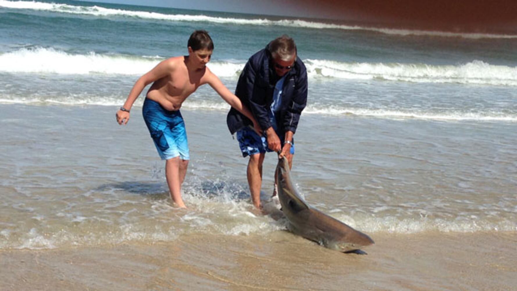 Fisherman catches shark off New Smyrna Beach