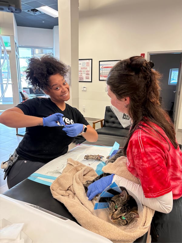 VEG ER for Pets Snellville medical director Dr. Jessica Corley — an ER specialist veterinarian — smiles for the camera as she treats a feline patient. (Courtesy of Dr. Jessica Corley/VEG ER for Pets Snellville)