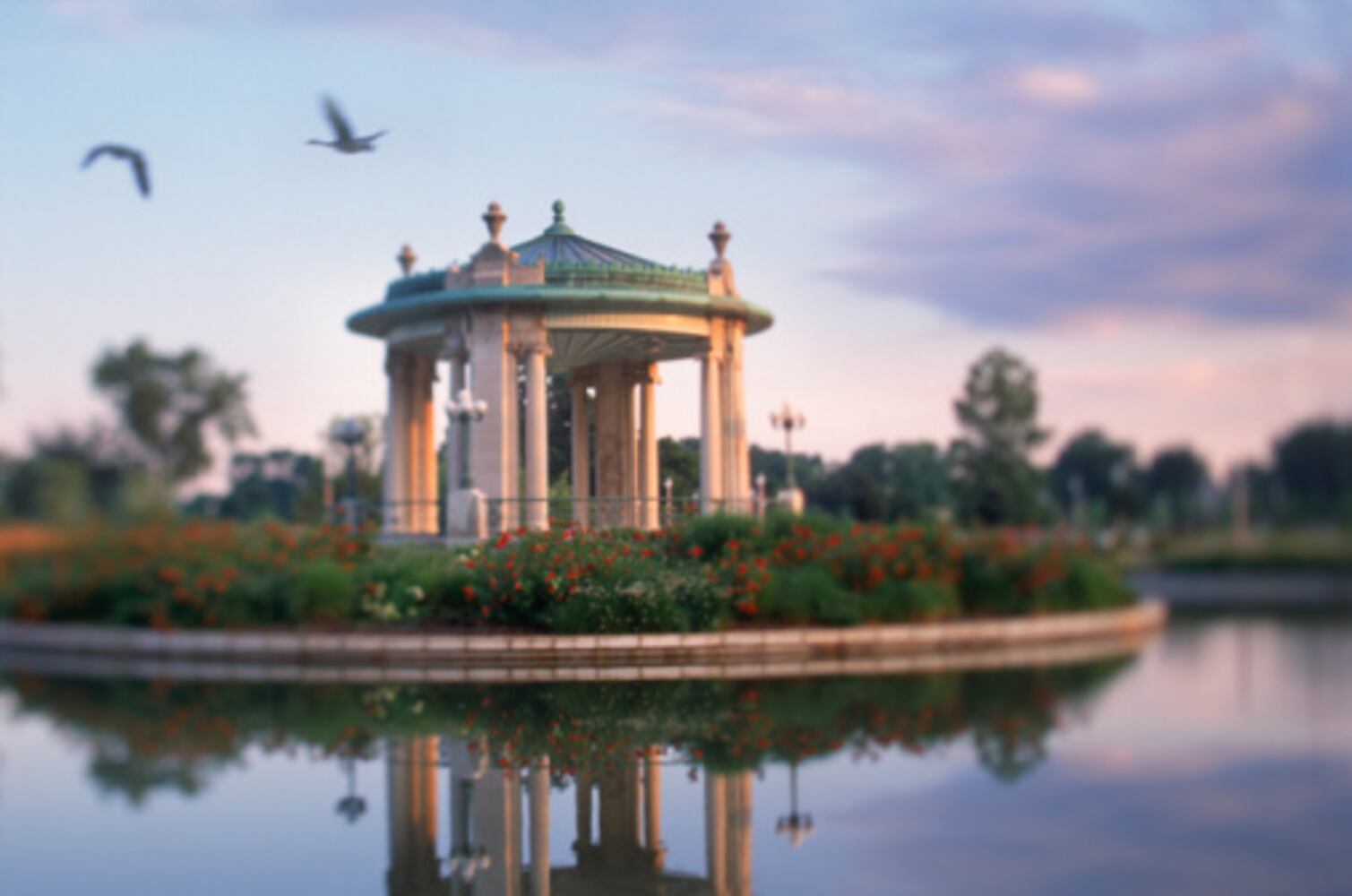 Forest Park