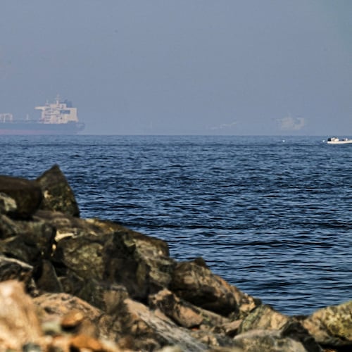 Cargo ships are seen at sea in the Gulf of Oman near the Strait of Hormuz, as viewed from a rocky shoreline near Khor Fakkan, United Arab Emirates, Friday, May 1, 2026.(AP Photo/Fatima Shbair)