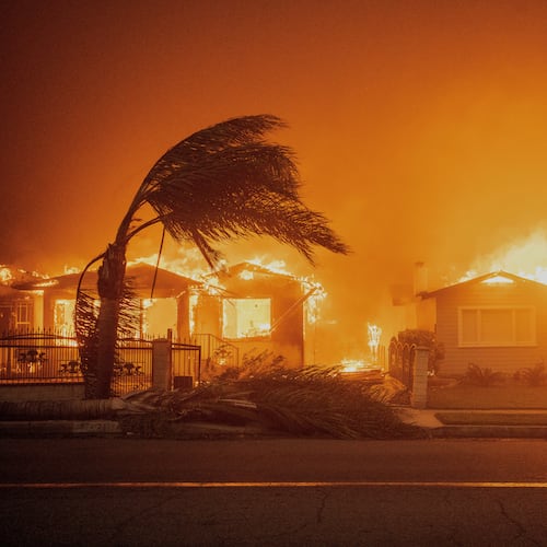 FILE - Trees sway in high winds as the Eaton Fire burns structures Jan. 8, 2025 in Altadena, Calif. (AP Photo/Ethan Swope, File)