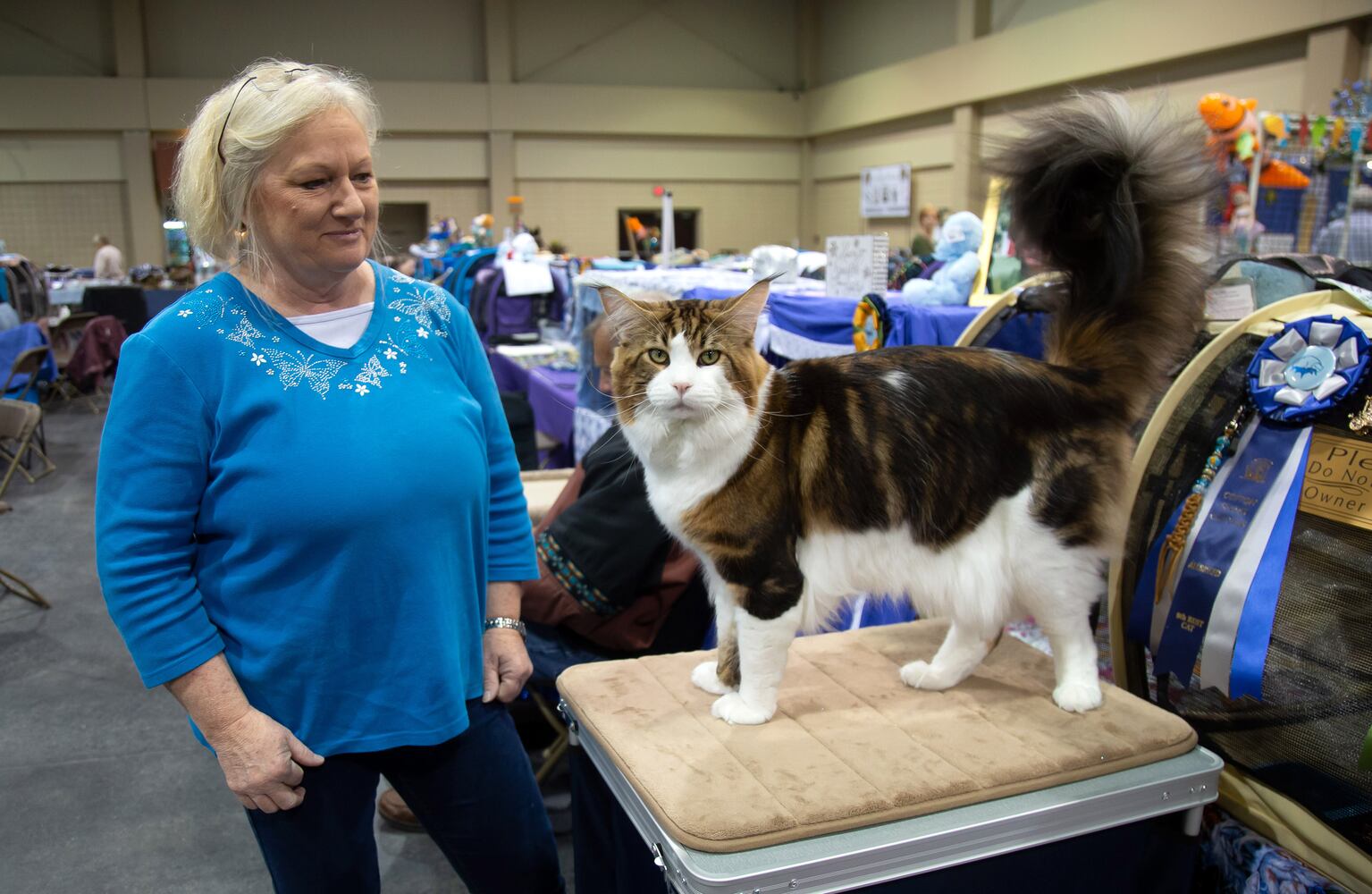 PHOTOS: 81st annual Cotton States Cat Show