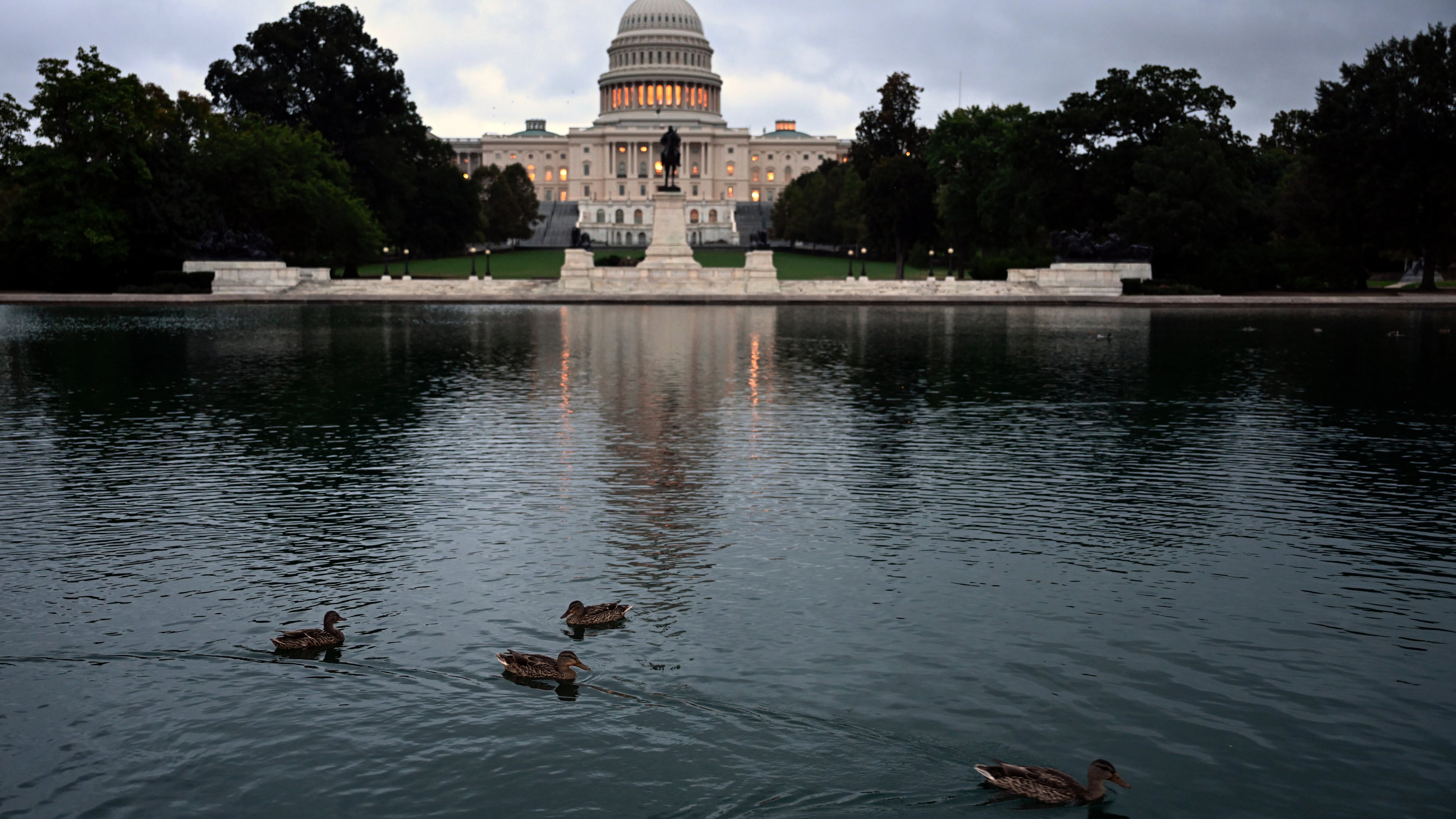 Ducks swim at daybreak in the U.S. Capitol Reflecting Pool during the 8th day of the government shutdown on Wednesday, Oct. 8, 2025, in Washington. (AP Photo/John McDonnell)