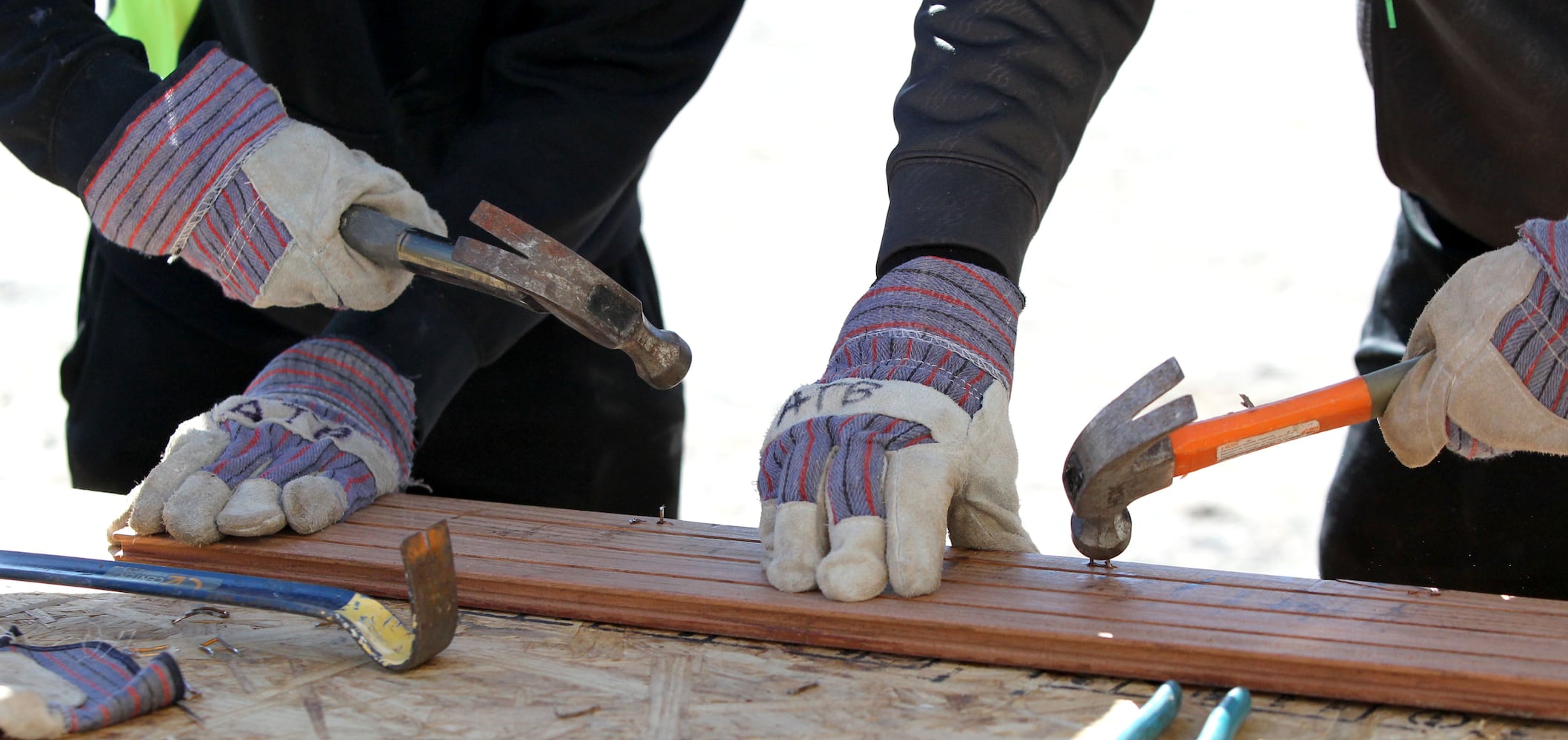 Volunteering on MLK Holiday, Jan. 18, 2016