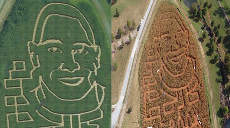 A picture of the corn maze at The Rock Ranch before and after the drought in Georgia.