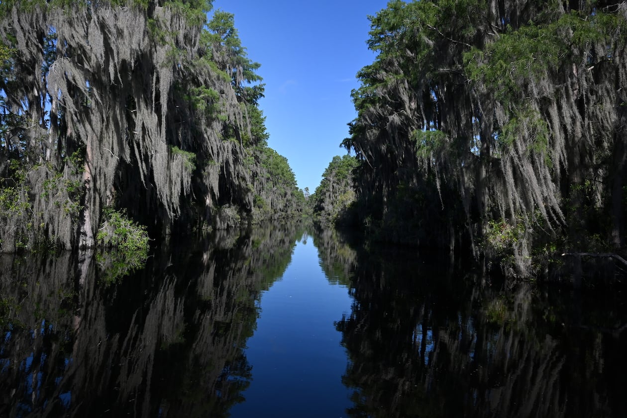 The Okefenokee National Wildlife Refuge became Georgia's first World Heritage site and the first natural site in the U.S. added to the list in more than 30 years. (Hyosub Shin/AJC 2025)