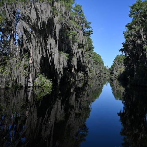 The Okefenokee National Wildlife Refuge became Georgia's first World Heritage site and the first natural site in the U.S. added to the list in more than 30 years. (Hyosub Shin/AJC 2025)