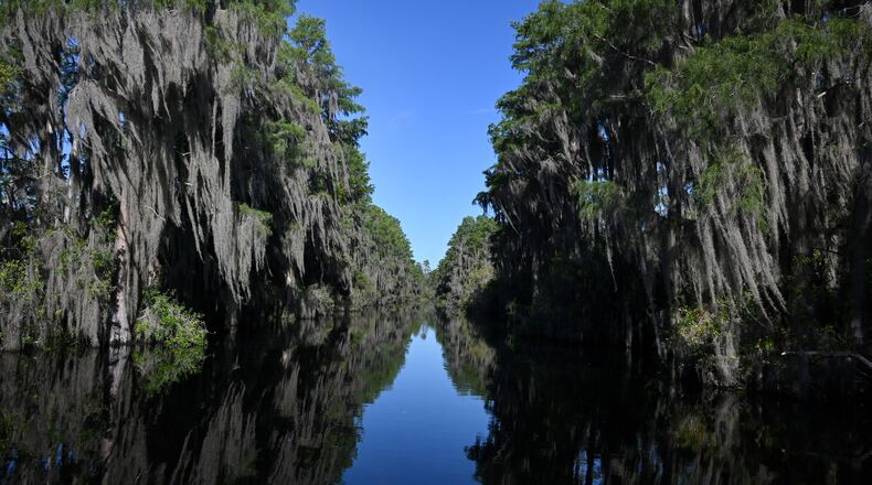 The Okefenokee National Wildlife Refuge became Georgia's first World Heritage site and the first natural site in the U.S. added to the list in more than 30 years. (Hyosub Shin/AJC 2025)