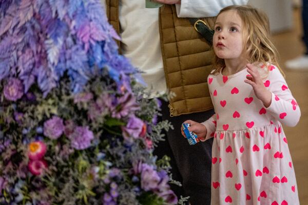  Eleanor Albanese, 4, looks over one of the entries during the indoor judged competition in the division of Floral Design at the Atlanta Botanical Garden on Saturday, February 24, 2024. (Steve Schaefer/steve.schaefer@ajc.com)