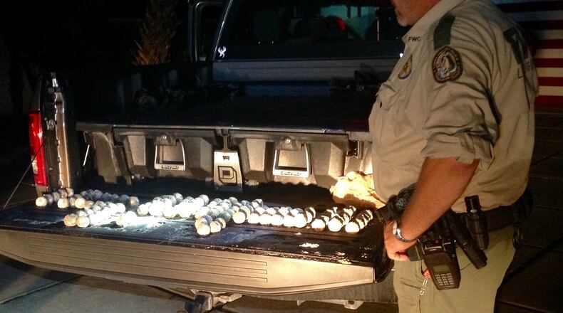 An FWC officer looks at turtle eggs displayed in the bed of a truck. A man was arrested over the illegal possession of the eggs Friday night on Jupiter Island. (photo courtesy FWC)