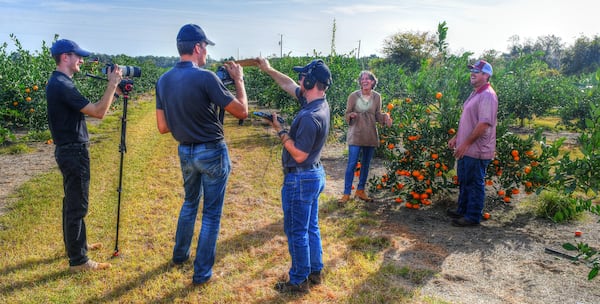 Ligaya Figueras and Justin Corbett prepare to film a demonstration of how to pick a satsuma from the grove during an AJC visit to Corbett Brothers Farms for a 2021 story on Georgia's emerging citrus market. (Chris Hunt for the AJC)