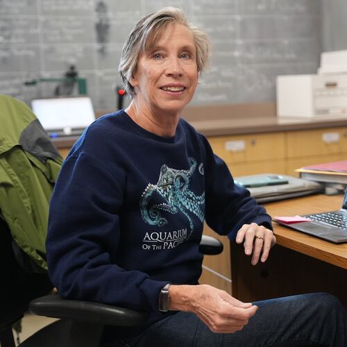 Art teacher Joyce Hatzidakis poses for a portrait in her classroom Thursday, Jan. 22, 2026, Riverside, Calif. (AP Photo/Damian Dovarganes)