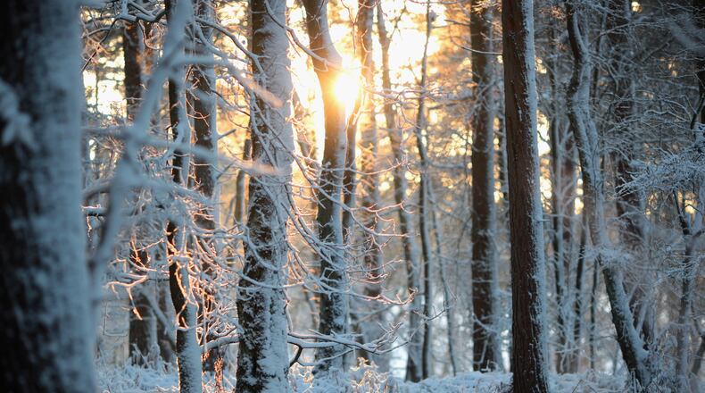 (Photo by Dan Kitwood/Getty Images)