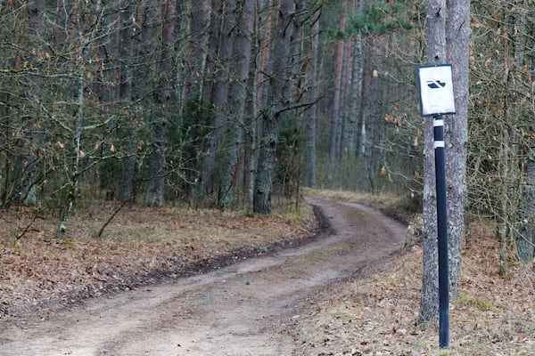 The sign "no tanks" is set on the forest road towards a training range in Pabrade, north of the capital Vilnius, Lithuania, Thursday, March 27, 2025. (AP Photo/Mindaugas Kulbis)