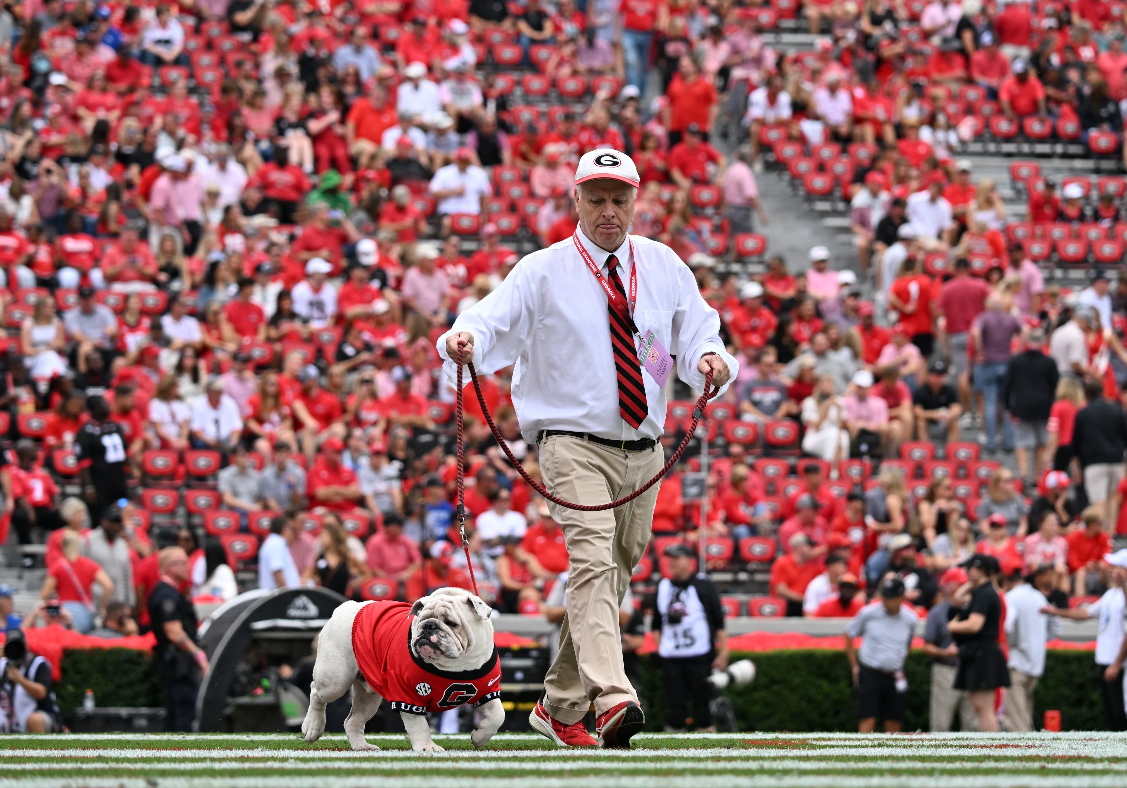 UGA XI, known as Boom, is escorted around the field by his handler Charles Seiler before a NCAA college football game at Sanford Stadium, Saturday, October 4, 2025, in Athens. (Hyosub Shin / AJC)