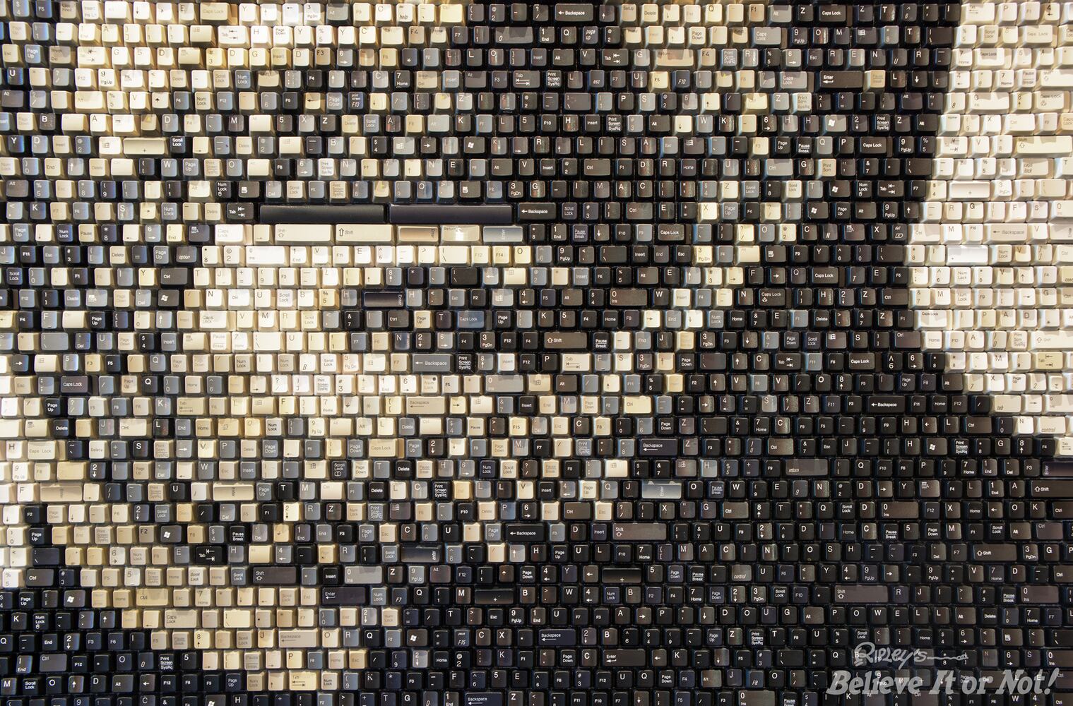 Steve Jobs Keyboard Portrait at Ripley's Believe It or Not!