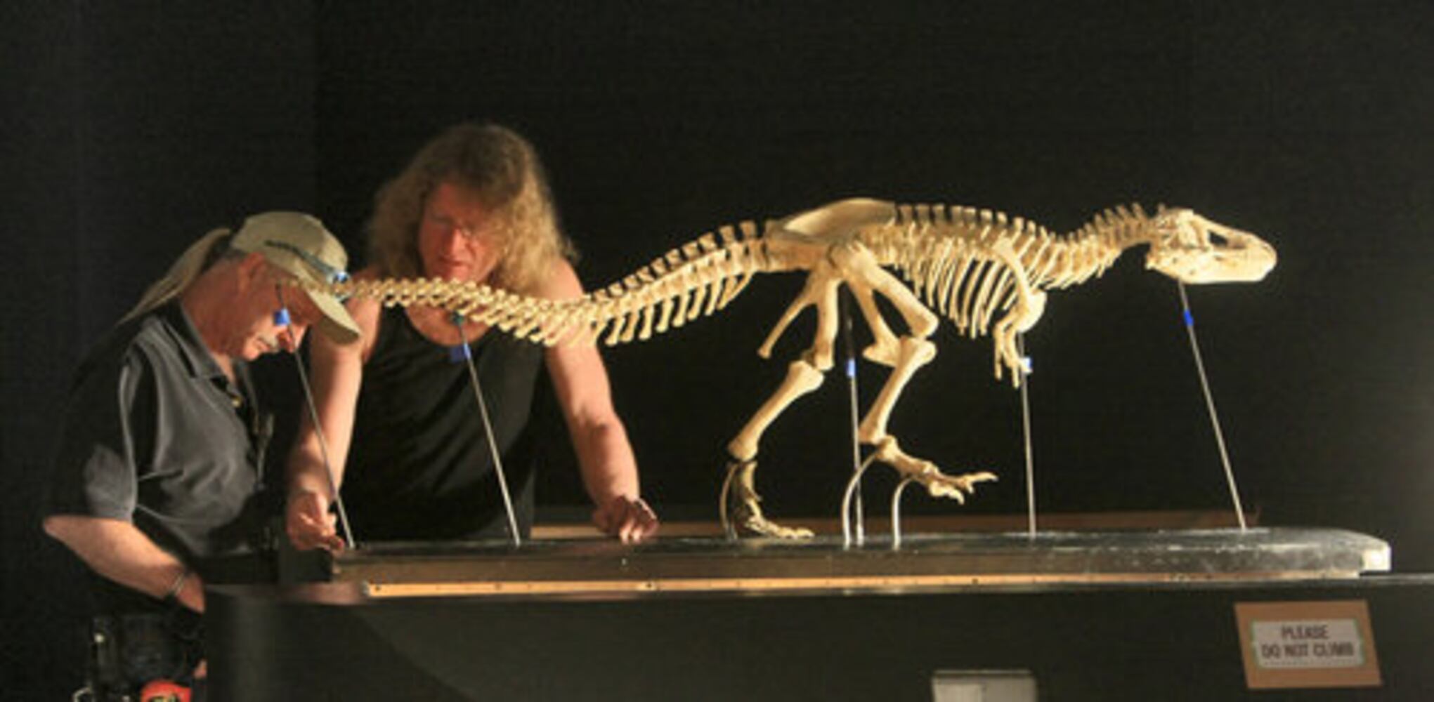 Dinosaur exhibit at Fernbank