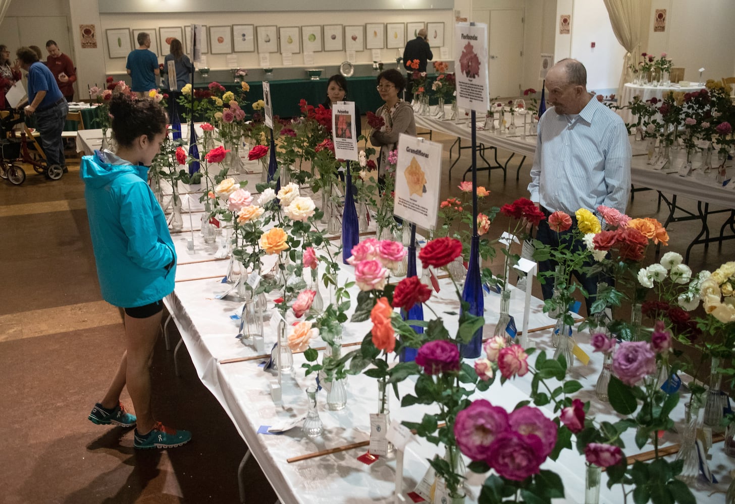 PHOTOS: 62nd Atlanta Rose Show 2019