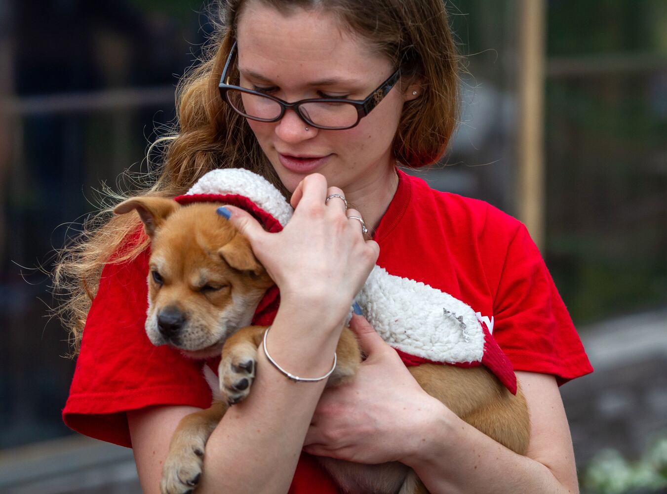 The Rescue Dog Games 2019