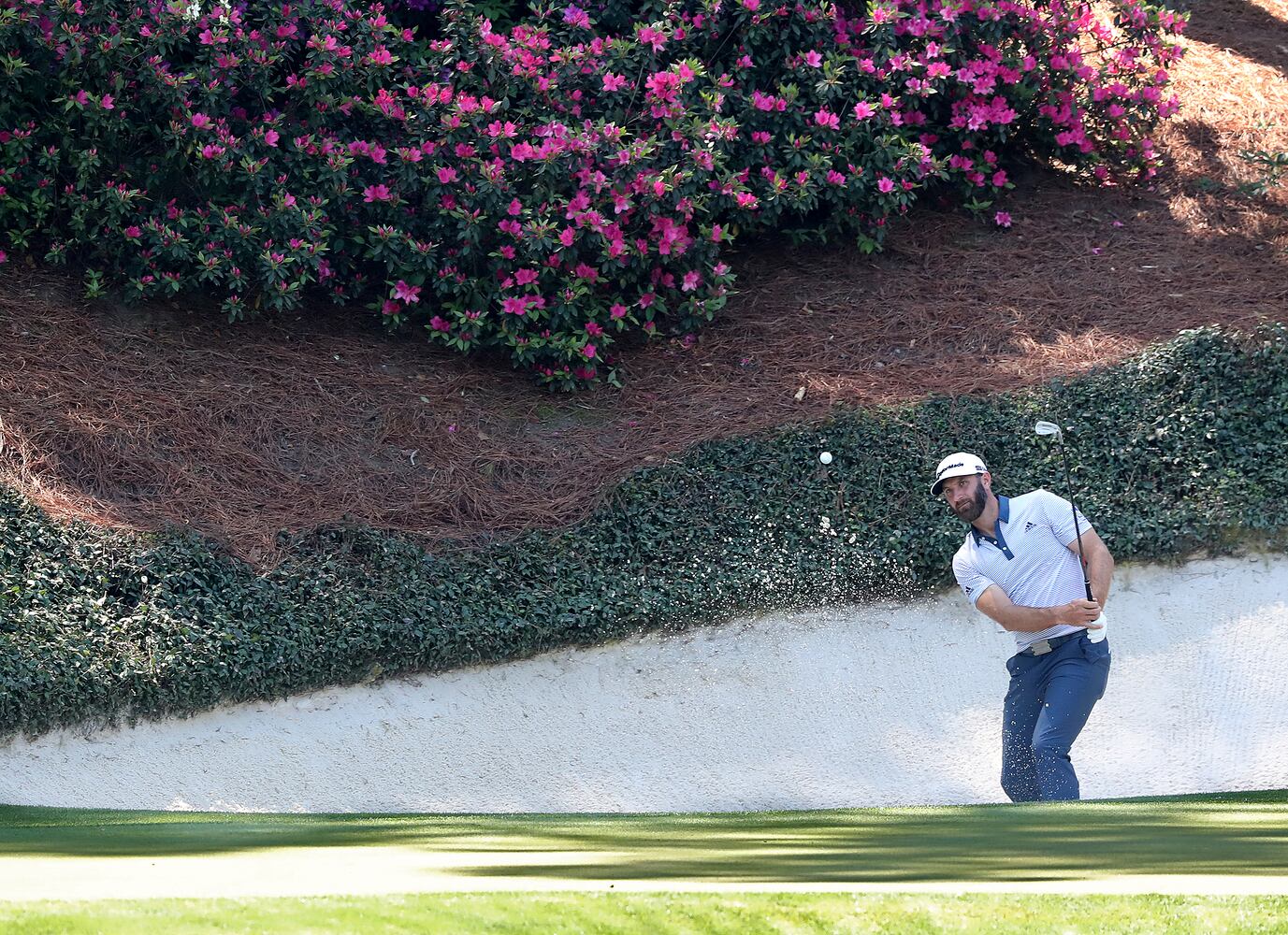 MASTERS PHOTO