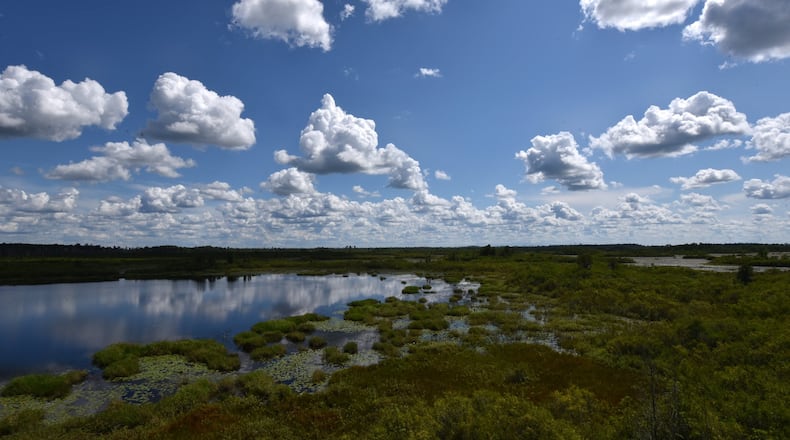 Twin Pines Minerals permit for a mining project near the Okefenokee Swamp will no longer need federal approval on the revised 'waters of the United States' enacted by the Trump administration. This Aug. 6, 2019, photo shows the view from the Owls Roost Tower in Okefenokee National Wildlife Refuge. HYOSUB SHIN / HYOSUB.SHIN@AJC.COM