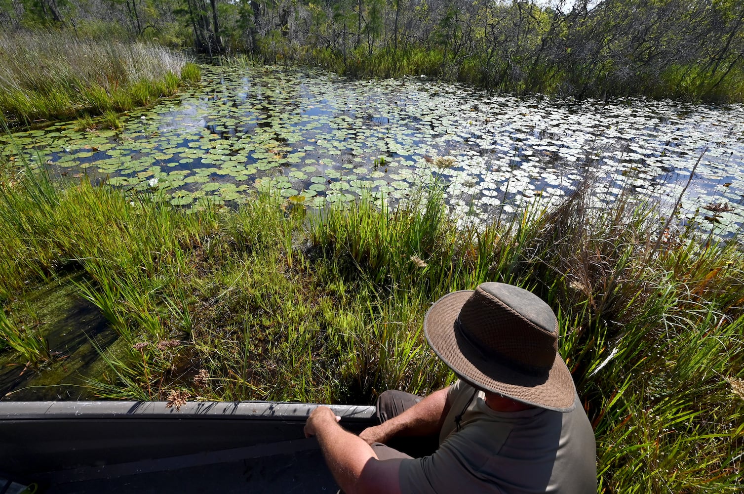 Okefenokee mining threat remains