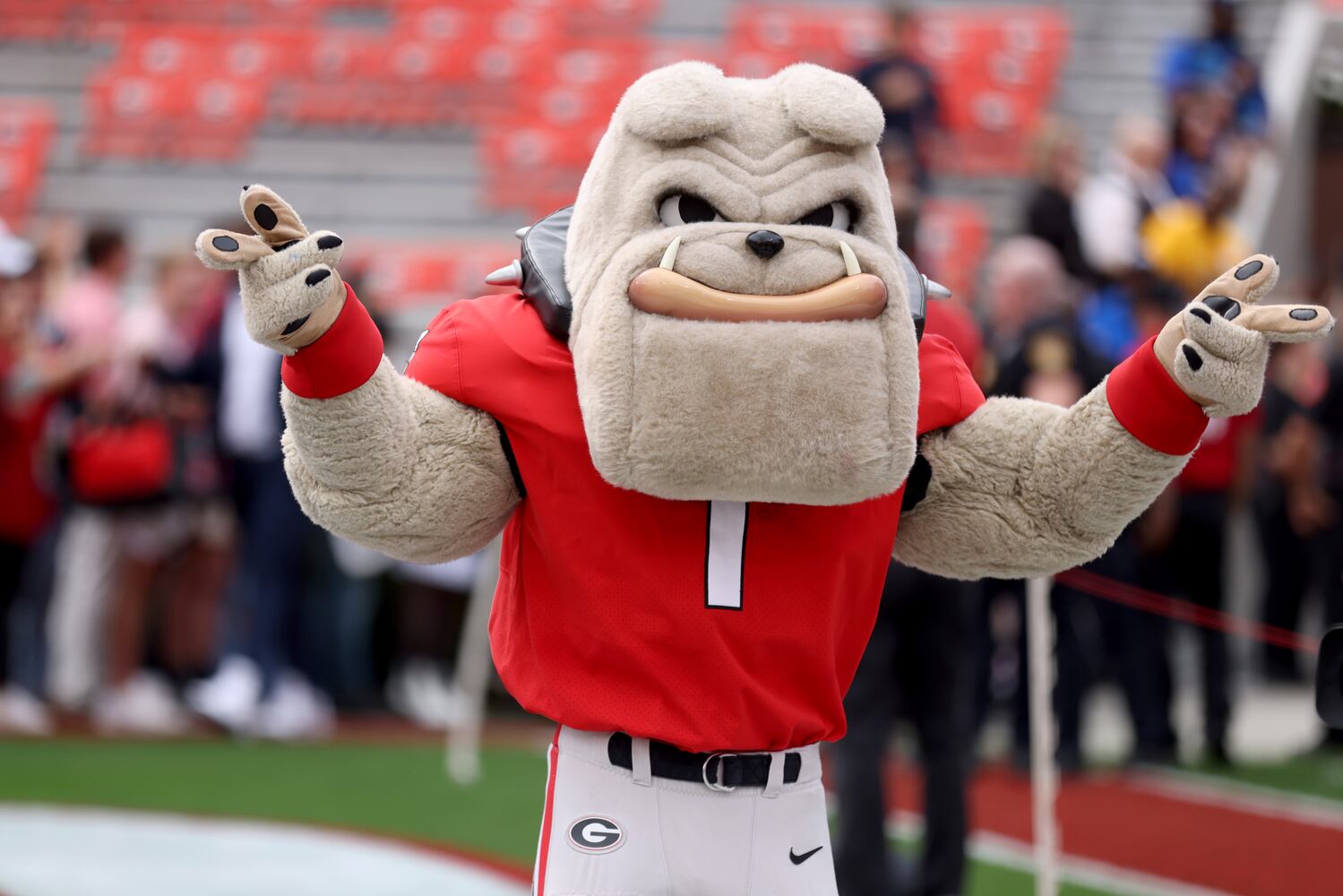 110622 BULLDOGS PHOTO