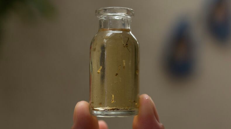 (Photos by Victor Moriyama/Getty Images)