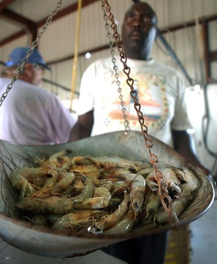 Georgia shrimp season opens Tuesday