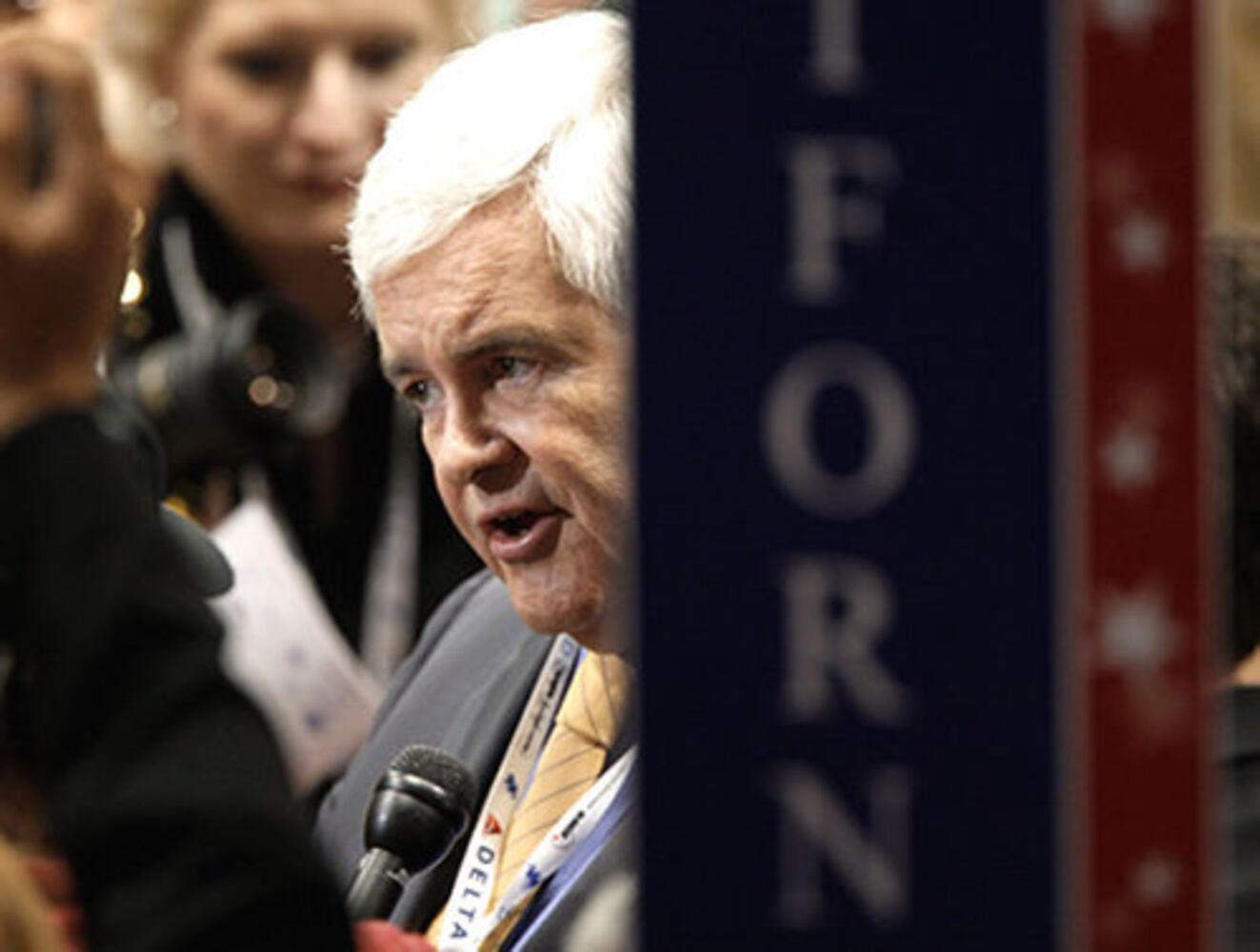 Celebrities at the Republican National Convention